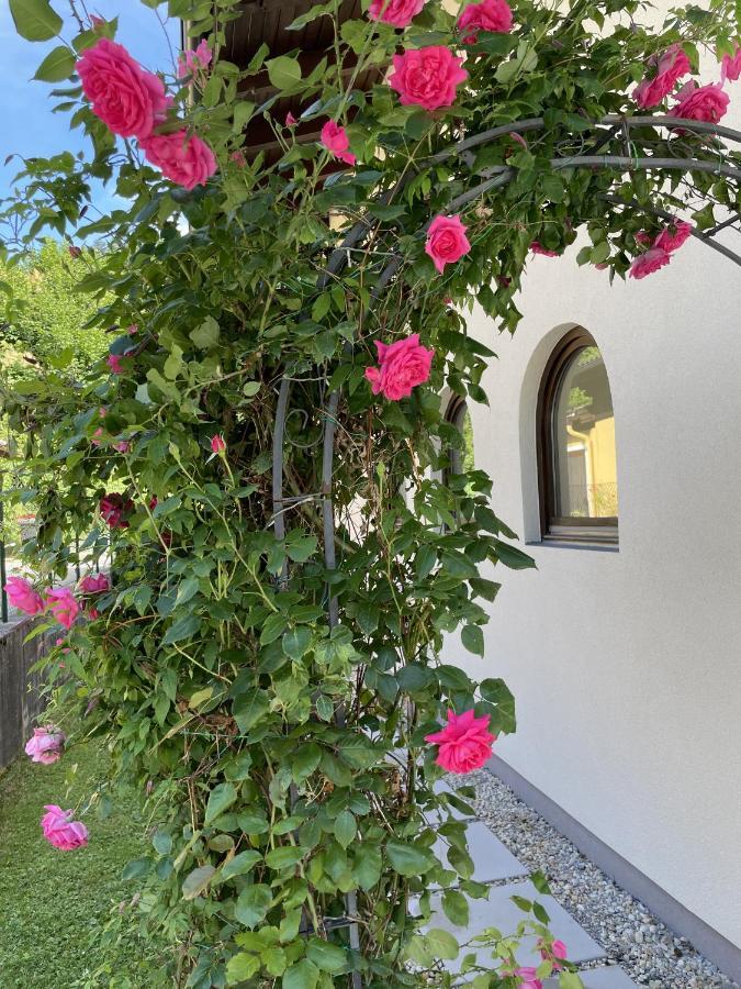 Appartement Erlbacher Lungötz Dış mekan fotoğraf