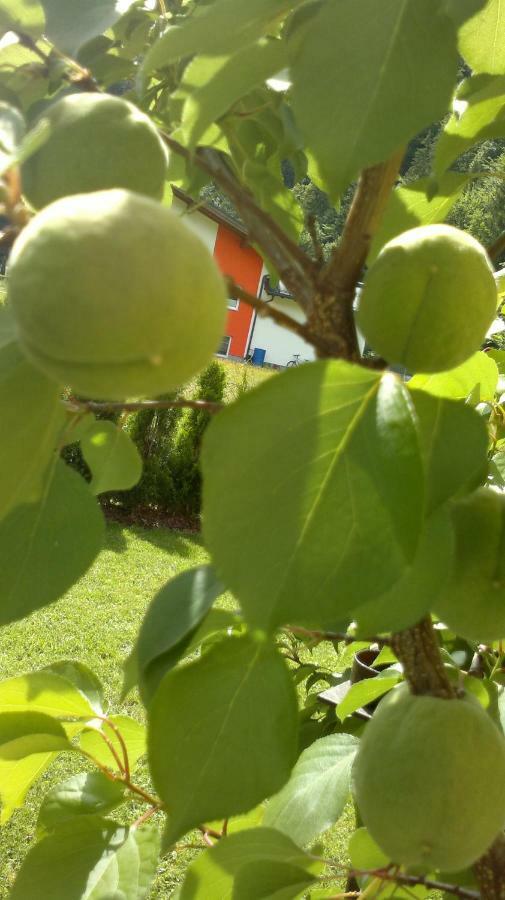 Appartement Erlbacher Lungötz Dış mekan fotoğraf